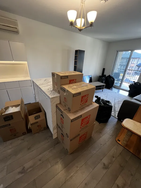 Professional movers providing reliable moving services in Canada